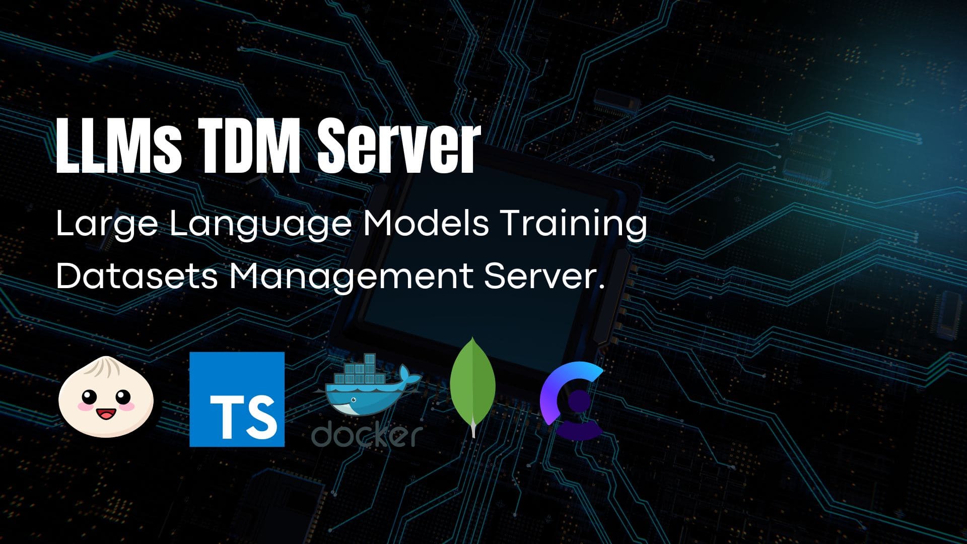 LLMs TDM Server image